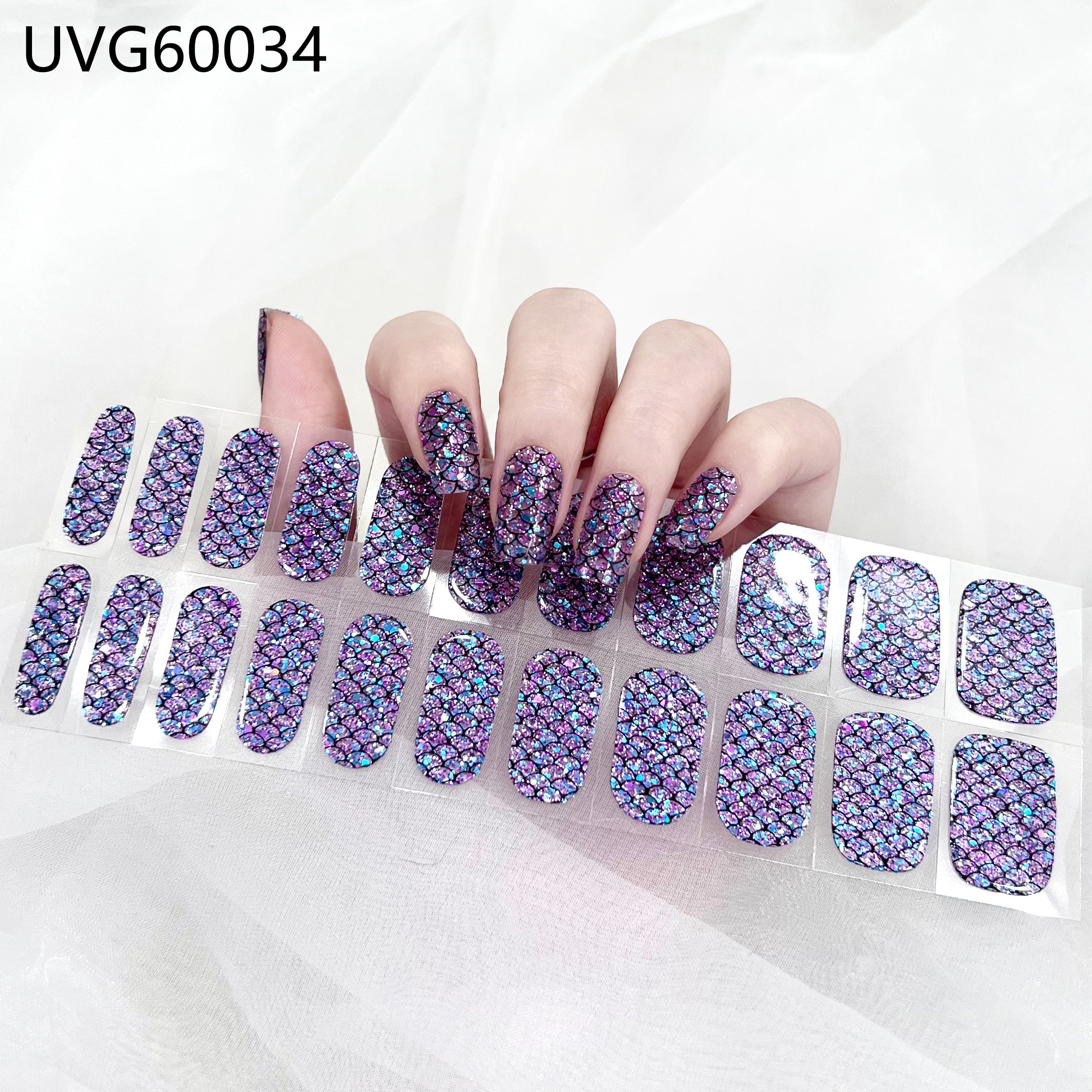 Purple Shell-UVG60034