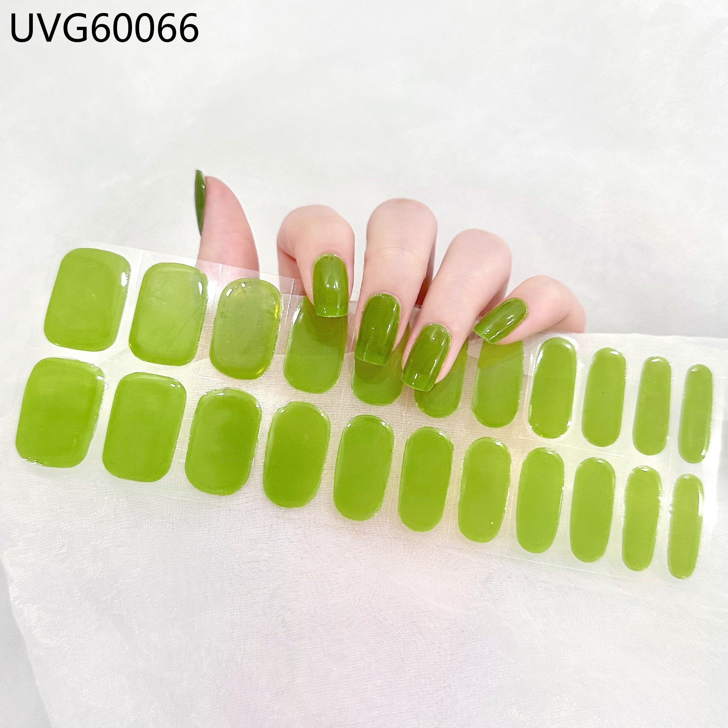 Avocado - UVG60066